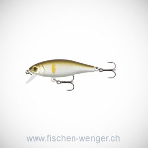 Fanatics Shorty