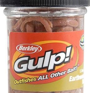 Gulp Earthworm