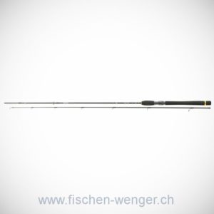 Daiwa Legalis Spin