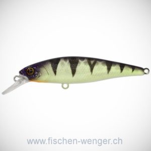 Squad Minnow 80 SP