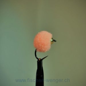 Lachsei Rosa