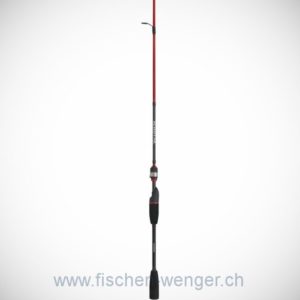Shimano Scimitar BX Spin