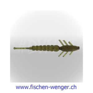 Sawyers Larva II