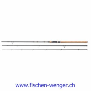 Balzer Diabolo Fury Pose 3.40 Meter