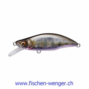 MB GH51 Humpback