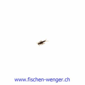 Fishup Stone Fly 1.90 CM