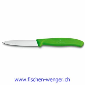 Victorinox Gemüsemesser Grün