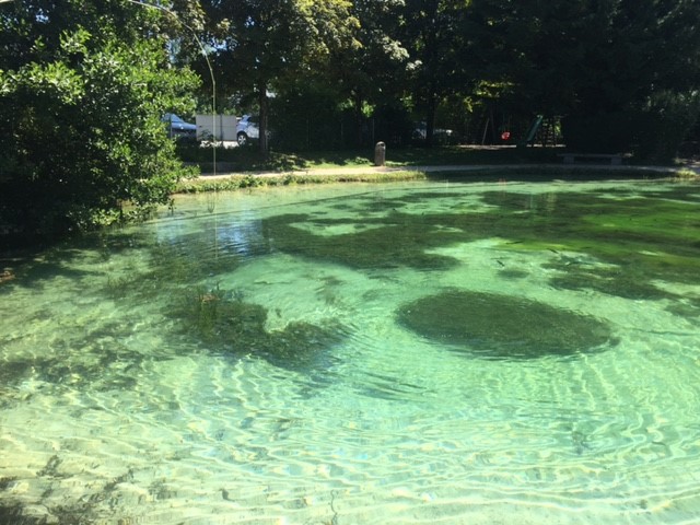 Moossee-10