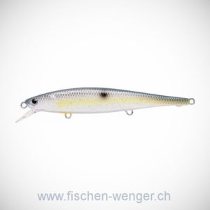 Flash Pointer 100
