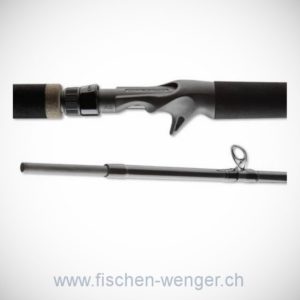 Daiwa Lexa Baitcast 2.30M