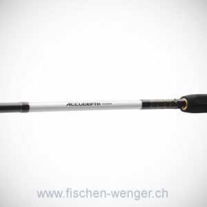 Daiwa Accudepth Troll