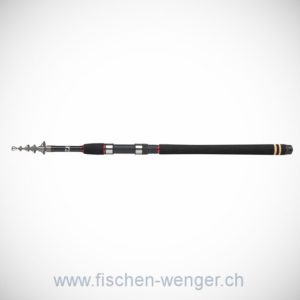 Daiwa Sweepfire Tele