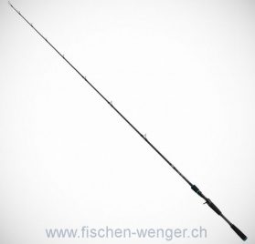 Salmo Trollmaster 2.40M, 40-60 Gramm