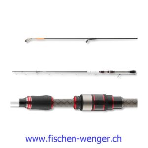 Daiwa Silver Creek L Spin 2020