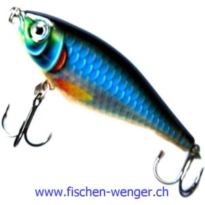 X-Rap Twitchin Shad 08