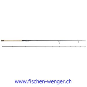 SG Salmonoid CCS Rod