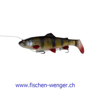 SG 4D Line Thru Rattle Trout Sinkend