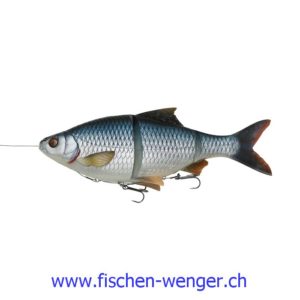 SG 4D Linethru Roach