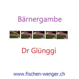 Dr Glünggi