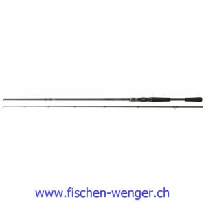 Daiwa Tatula XT BC