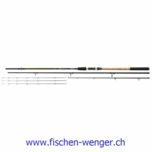 Cormoran FG Feder Pro 3.60 40-120G